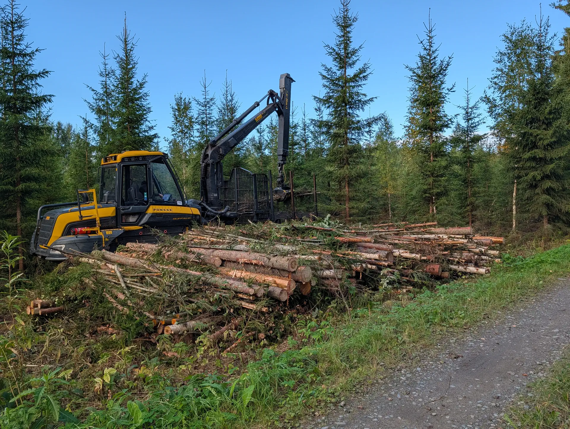 Puuta metsästä energiaksi